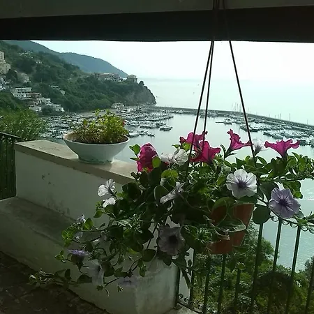 Kirillos In Cilento B&B