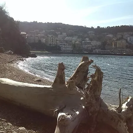 Alojamento de Acomodação e Pequeno-almoço Kirillos In Cilento 3*