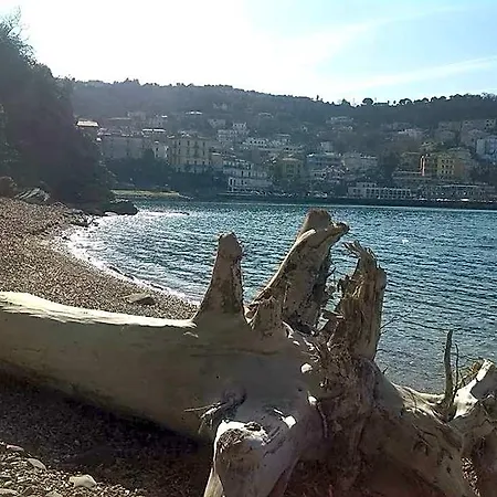 Bed & Breakfast Kirillos In Cilento 3*
